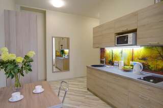Отель Summit Apart Hotel Киев Апартаменты-студио-7