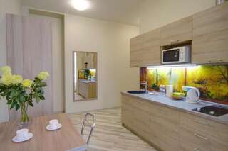 Отель Summit Apart Hotel Киев Апартаменты-студио-23